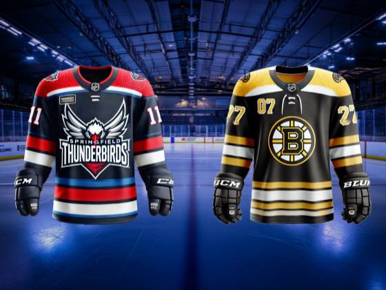 Providence Bruins vs. Springfield Thunderbirds